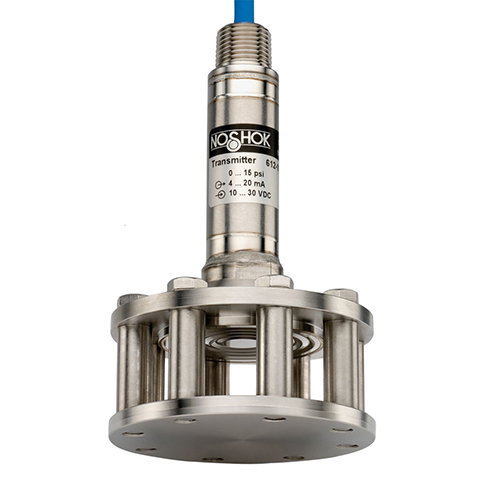 NOSHOK 613 Series Cage-Protected Submersible Level Transducer
