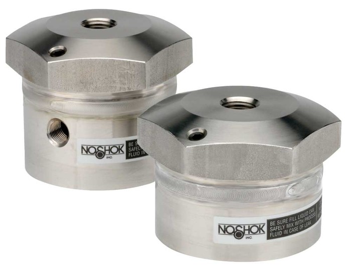 NOSHOK Type 29 Diaphragm Seal