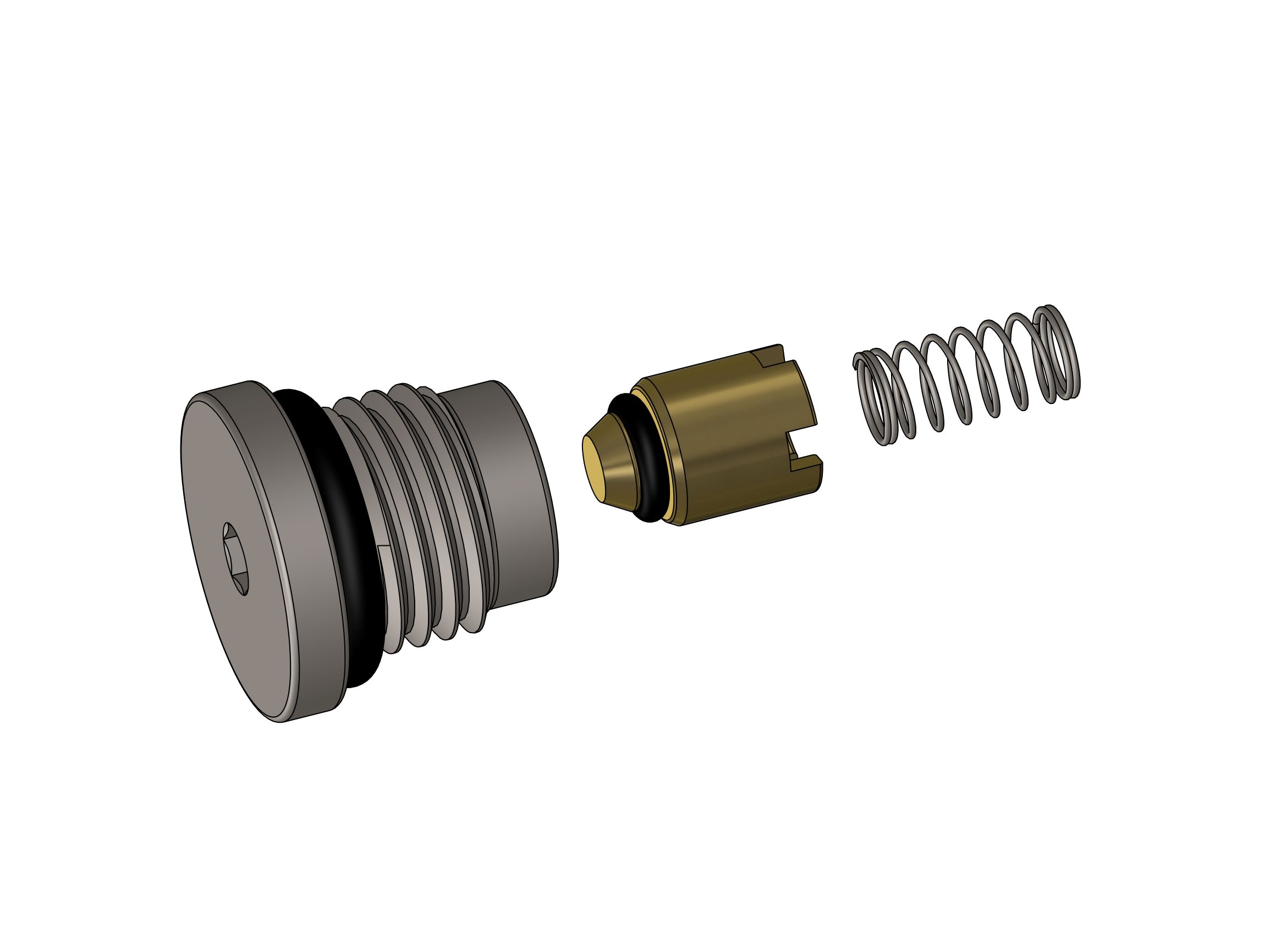 Ralston DCAP-PV Outlet Check Valve Assembly # DCAP-0105