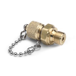 Ralston G 1/4" Male BSPP (ISO 228/1) x Male Quick-Test, No Check-Valve, with Cap and Chain, Brass # QTFT-2MB0-RS