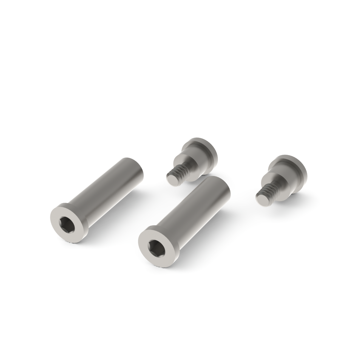 Ralston Replacement Binding Bolts for QTHP Handles # QTHP-0290