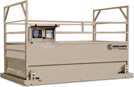 Rice Lake Portable Scale, 13 X 8 Portable Scale System With Weigh Center And TM U295 Printer 15,000 lb Capcity AH8L-4 # 131036