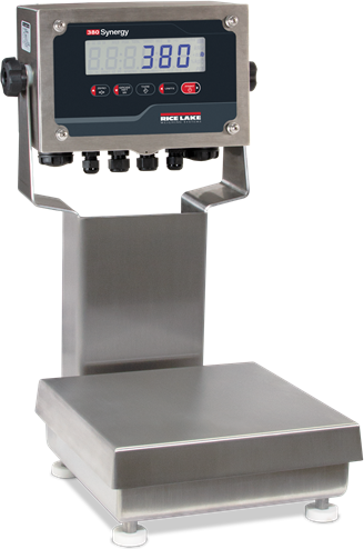Rice Lake Scale PKG, CW-90XB-380 10x10 25 lb/10 kg with 12 inch column 115VAC SST # 208545
