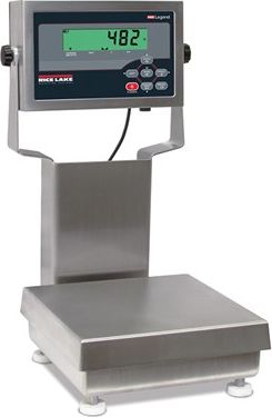 Rice Lake Scale PKG, CW-90XB-482Plus 10x10 25 lb/10 kg with 12 inch column 90-264VAC SST # 201554