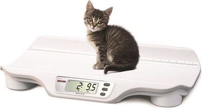 Scale, Rice Lake VS-10 44lb x 0.5oz (20kg x 10g) with 120V AC Adapter and 4 AA Alkaline batteries and measuring tape
