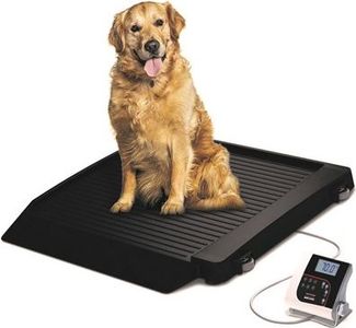 Scale, Rice Lake VS-30 Platform Scale, 1000lb(450kg) x 0.2lb(100g) with (1) 9.25in. Ramp includes 6 AA size Alkaline batteries