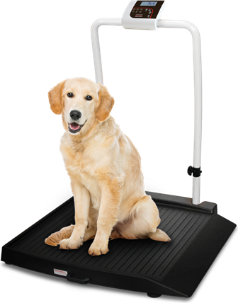 Scale, Rice Lake VS-34 1000lb(450kg) x 0.2lb(100g) with (1) 9.25in. Ramp includes 6 AA size Alkaline batteries # 204405