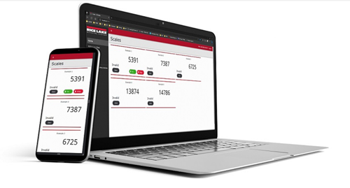 Rice Lake Software, RL Web Display Remote display software # 219392